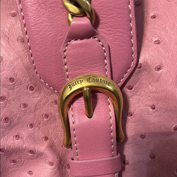 Vintage Juicy Handbag - Picture 2 of 16